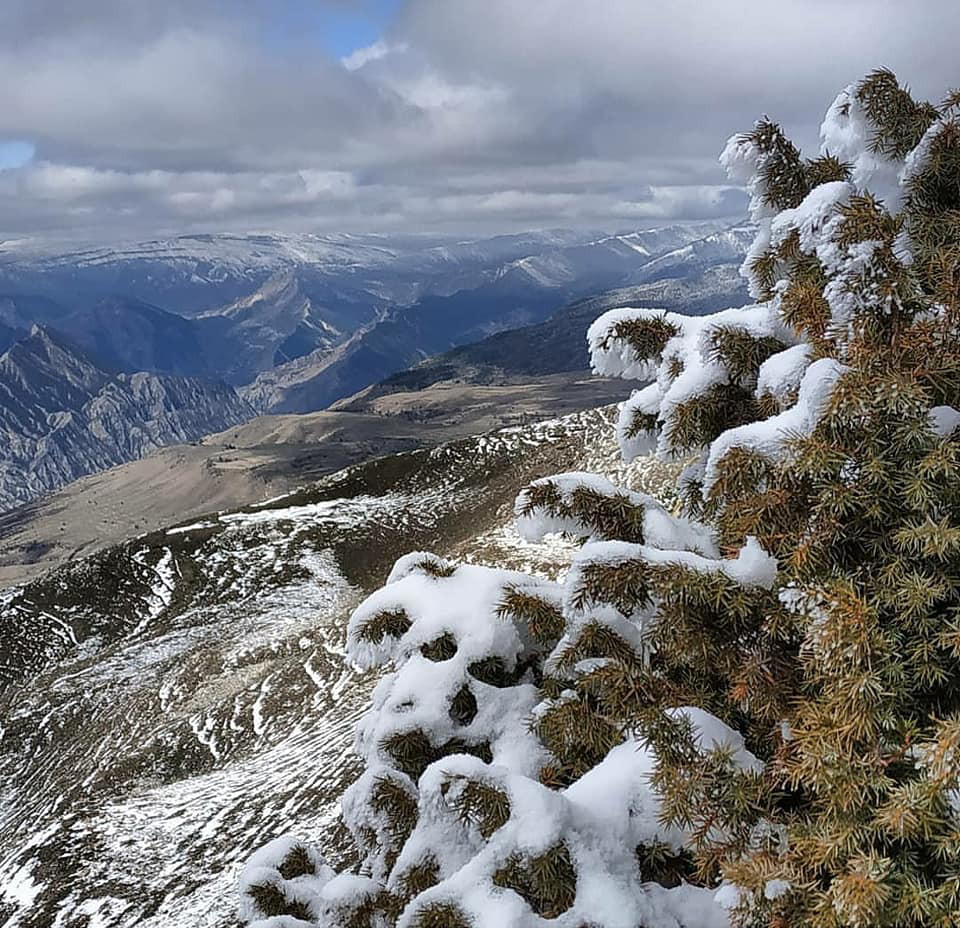 Мотивирующая история &laquo;Dagestan Wild Trail - 50 километров - Елена Абашова, IV место&raquo; | автор Елена Абашова | NEANE Records
