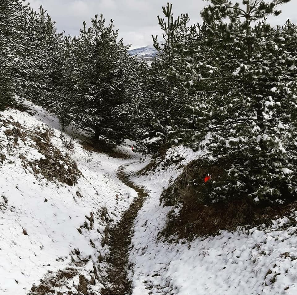 Мотивирующая история &laquo;Dagestan Wild Trail - 50 километров - Елена Абашова, IV место&raquo; | автор Елена Абашова | NEANE Records